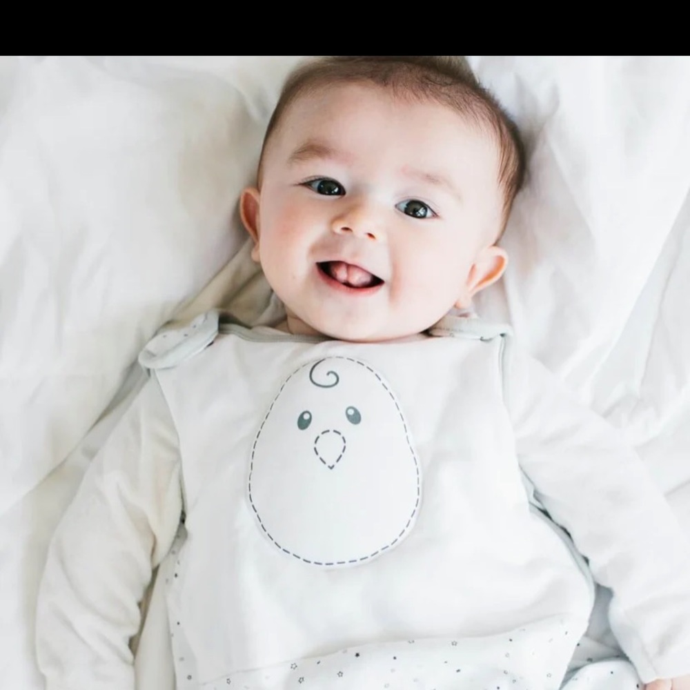 1 Nested Bean sleep sack size Medium 6-15mo. Smoke free home, washed in Dreft